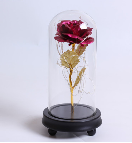 Enchanting Rose with Glass Case