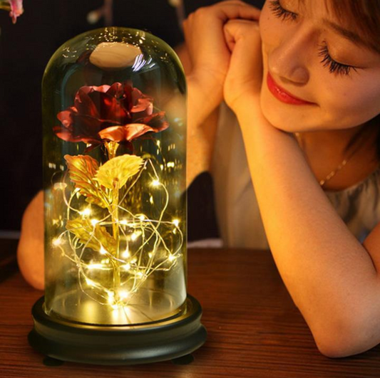 Enchanting Rose with Glass Case