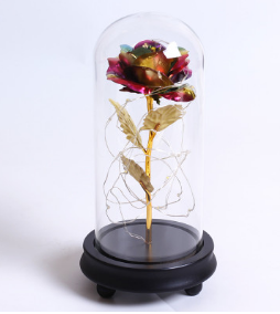 Enchanting Rose with Glass Case