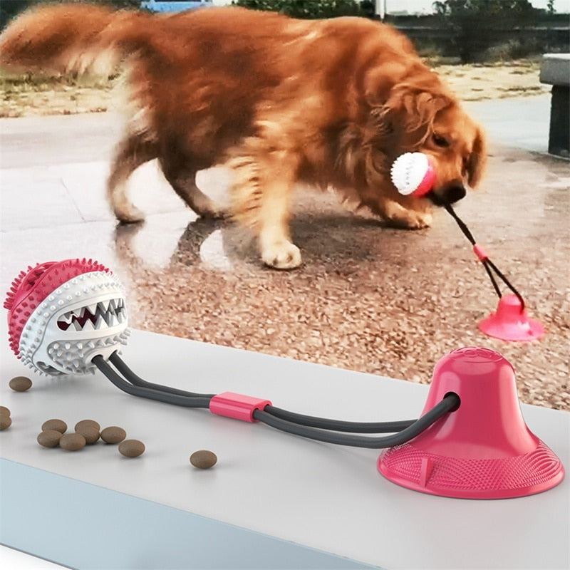 Pet Dog Toys Tooth Cleaning