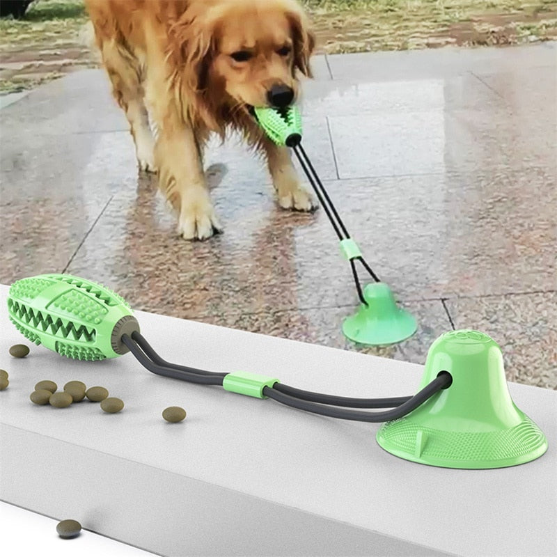 Pet Dog Toys Tooth Cleaning