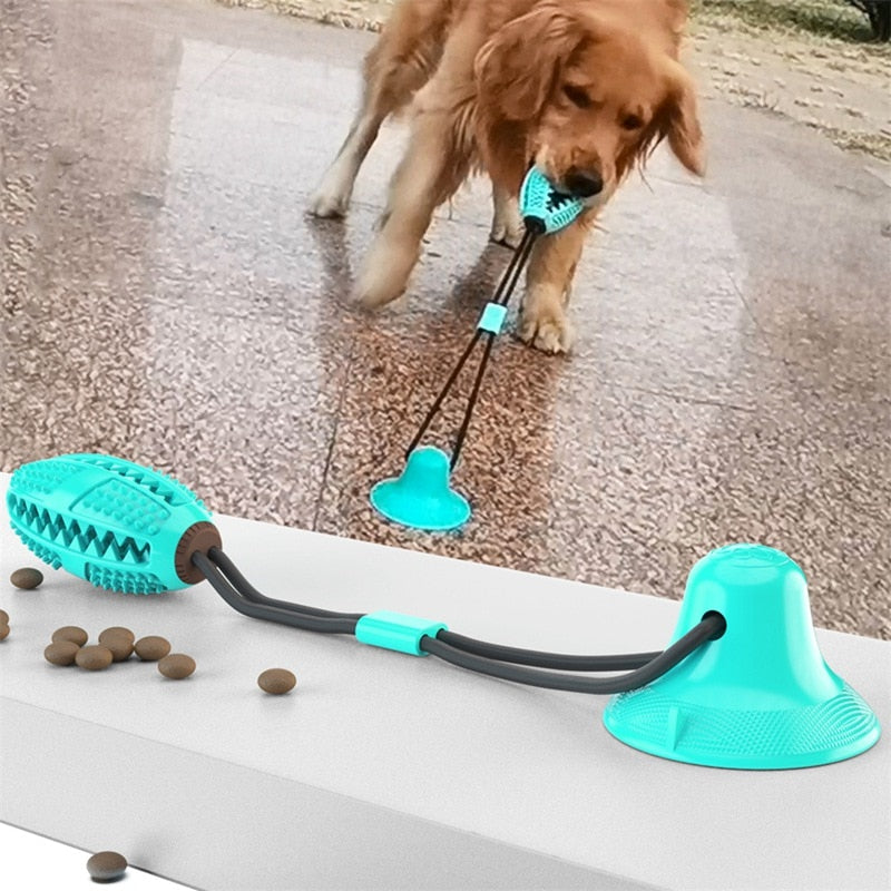 Pet Dog Toys Tooth Cleaning