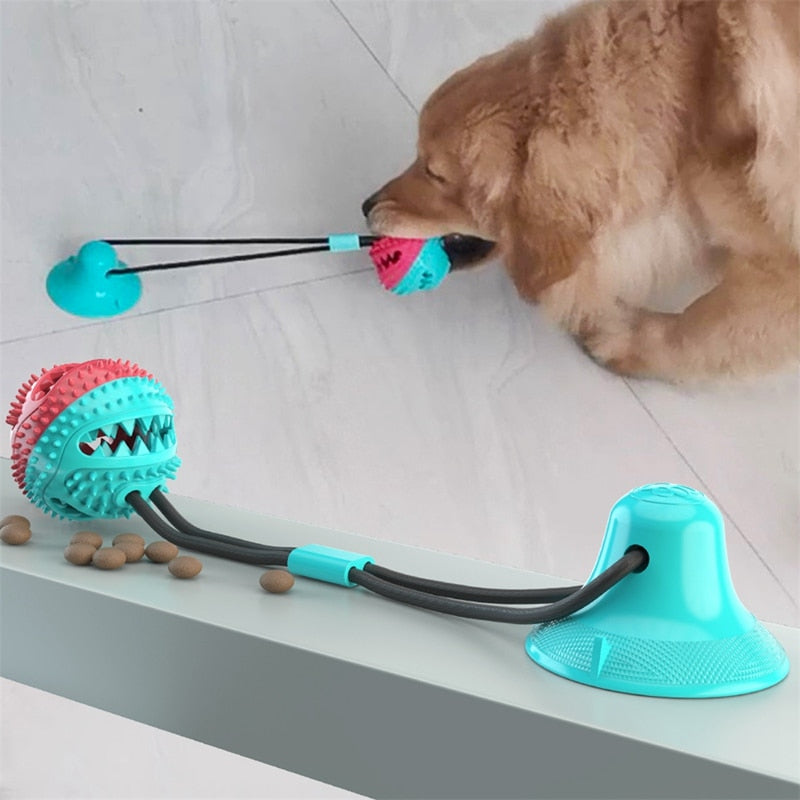 Pet Dog Toys Tooth Cleaning